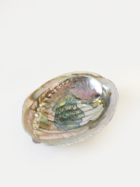 SS - Abalone Shell